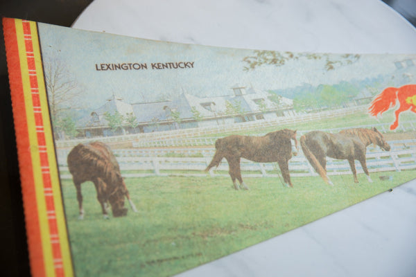 Vintage Lexington Kentucky Horse Park Felt Flag // ONH Item 9216 Image 1
