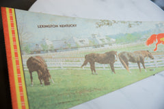 Vintage Lexington Kentucky Horse Park Felt Flag // ONH Item 9216 Image 1