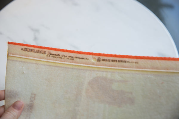 Vintage Lexington Kentucky Horse Park Felt Flag // ONH Item 9216 Image 3