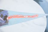 Arched red Marineland of Florida lettering on a vintage light blue felt pennant.