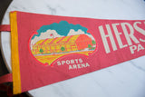 Detailed 1960s illustration of the Sports Arena on the red felt pennant.