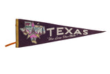 Vintage Texas Lone Star State felt pennant, dark purple with colorful state outline illustrations.