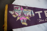 Dark purple felt Texas pennant, with yellow trim and pink longhorn illustration.