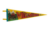 Vintage Williamsburg Virginia yellow felt pennant with a retro horse and carriage graphic and red text.