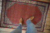Vintage Mir Sarouk rug detail showing brick red boteh field and ivory-toned Serbend border.