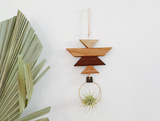 Geometric wooden air plant hanger with varied wood tones, brass ring, and air plant.