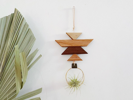 Wooden Air Plant Hanger Phoenix // ONH Item 