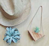 A triangular wooden air plant hanger with a leather cord holding a small plant.
