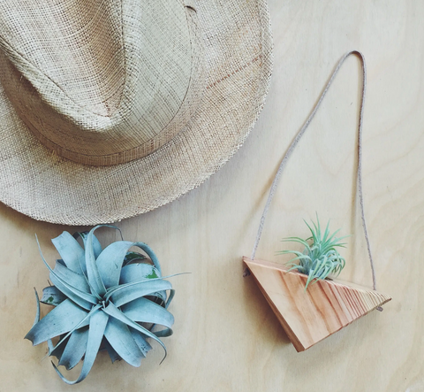 Wooden Triangle Air Plant Hanger // ONH Item 9299