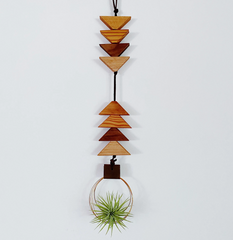 Wooden Air Plant Hanger To the Earth To the Sky // ONH Item 9300