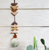 Southwestern wooden air plant hanger with varied wood and air plant in brass ring.