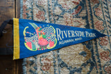 Vintage blue felt pennant with colorful roller coaster graphic and text.