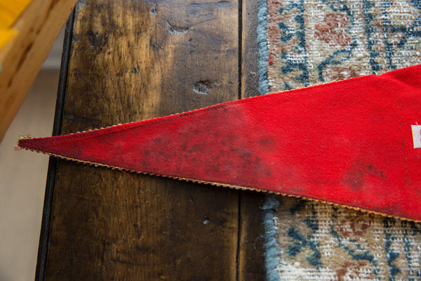 Vintage Niagara Falls Felt Flag // ONH Item 9512 Image 2