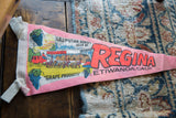 Detailed illustration of Lilliputian Horses and grapes on the vintage Regina felt flag.