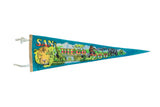 Vintage San Diego Zoo felt pennant in teal with retro-style graphics of a tiger and other animals.