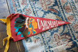 Detail of the real feathers attached to the colorful headdress on the vintage pennant.