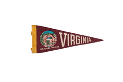 Vintage Virginia Felt Flag // ONH Item 9536