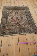 Intricate dusty rose, brown, and blue Herati mahi-mahi motifs on this Hamadan rug.