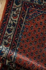 Engelas rug texture: madder root rust field with staggered botehs and colorful vine border.