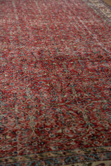 Distressed cherry red pile of the vintage Sparta carpet, with delicate vinery and blossoms.
