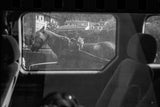Black and white photograph of a horse in harness framed by a car window.