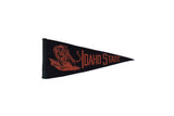 Black vintage Idaho State felt flag with orange tiger graphic, 4 by 9 inches.