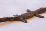 Aged bronze texture and scale detail of a collector African crocodile.