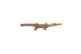 Vintage African bronze lizard casting, textured, warm brown patina. 3.5 inches long.