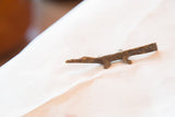 Textured antique bronze lizard casting, showing its handmade detail and rich patina.
