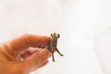 Small vintage African bronze lion held in hand, displaying aged patina.