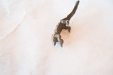 High-angle view of the African bronze pangolin showing its detailed head and textured scaly body.