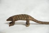 Textured scales and full-length profile of a vintage African bronze pangolin sculpture.
