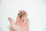 Vintage bronze pelican ring shown resting in a hand to illustrate its scale.