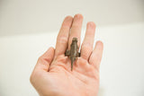 Vintage African bronze gecko ring held in a hand to show its scale and texture.