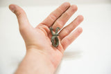 Vintage African bronze rooster ring resting in a hand to show its scale.