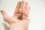 Vintage African bronze gecko ring held in an open palm to show its scale.