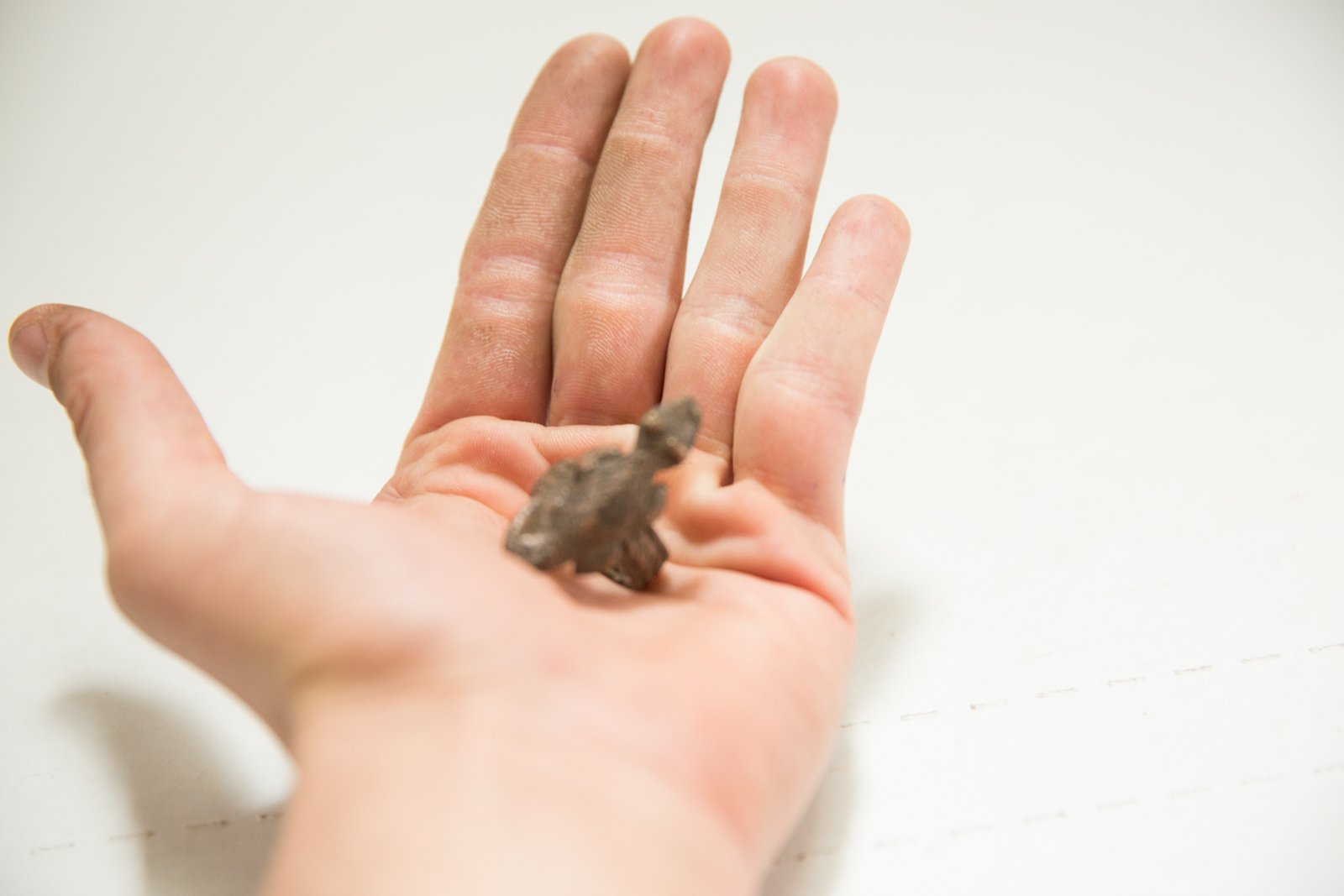 Vintage African Bronze Large Gecko Ring