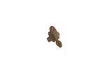 Vintage African bronze ring featuring a stylized gecko with a textured, matte finish.