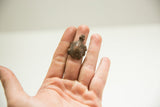 A small vintage bronze turtle ring, showing its textured shell and scale.