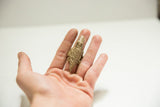 A vintage brass crocodile ring held in an open palm to show its size and texture.