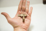 Vintage bronze fish ring with cast details held in hand to show its scale.