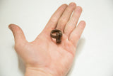 Vintage African copper ring with two figures held in an open palm to show scale.