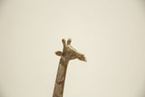 Close-up of the vintage bronze giraffe's head showing detailed features and patina.