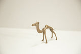 Vintage African bronze camel's head and neck in side profile with warm patina.