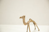 Vintage African bronze camel head and neck, with a textured aged patina.
