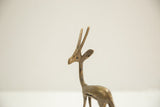 Collectible vintage African bronze gazelle head, textured antlers, aged patina.