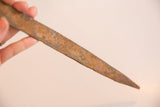 Aged iron surface of the vintage snake sculpture with warm, rust-toned patina.