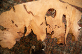 Expressive live edge wood coffee table top with unique organic shape and natural grain.