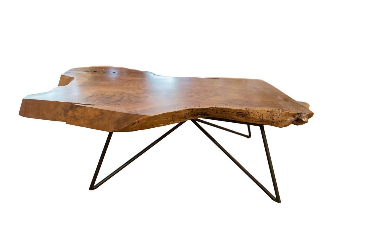 Live edge walnut coffee table, organic top with rich grain, black spider legs.