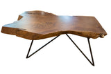 Unique organic contours and rich wood grain of the live edge walnut coffee table.